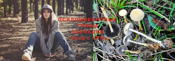 спайс Белокуриха