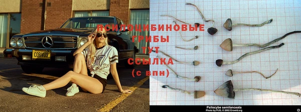 спайс Белокуриха