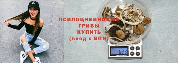 спайс Белокуриха