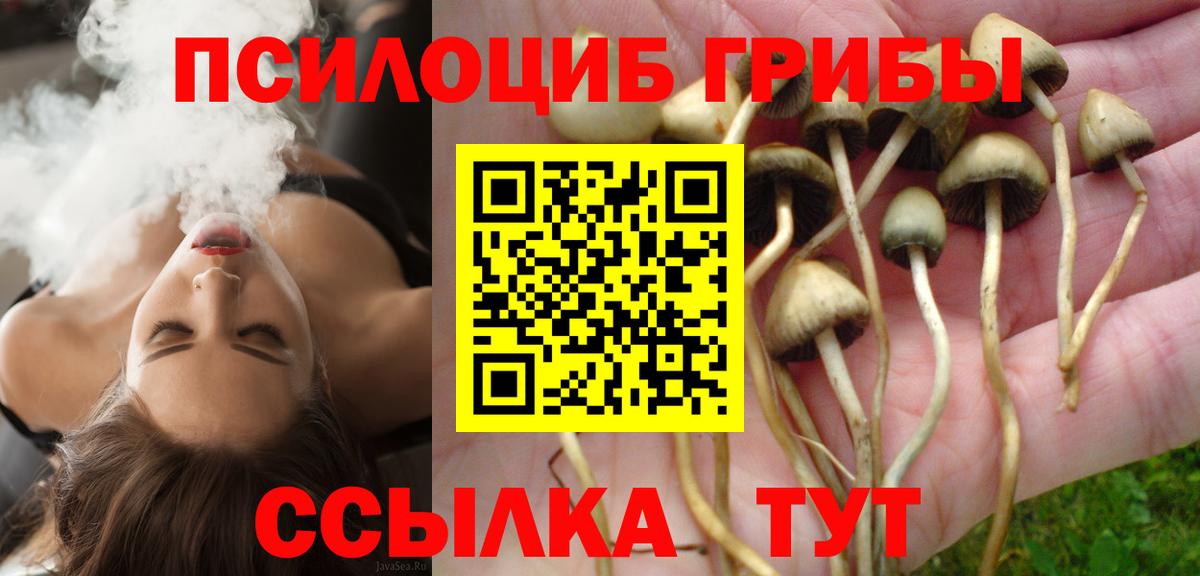 Бутурлиновка  Псилоцибиновые грибы прущие грибы  Вход с VPN 